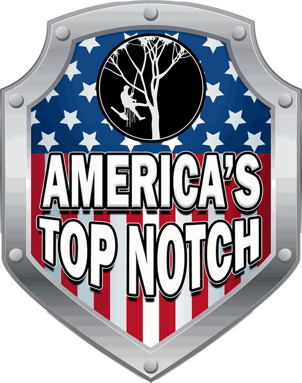 America's Top Notch shield logo