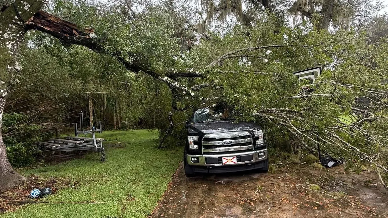 Storm-fallen oak across a truck and driveway